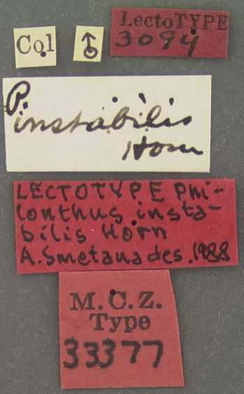 Media type: image;   Entomology 33377 Aspect: labels
